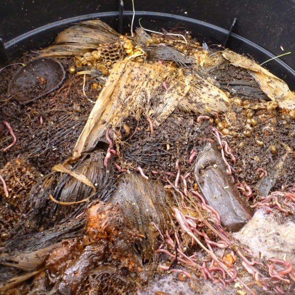 WORM BLANKET - YUVARLAK