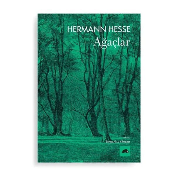 HERMANN HESSE