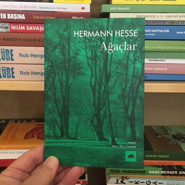HERMANN HESSE