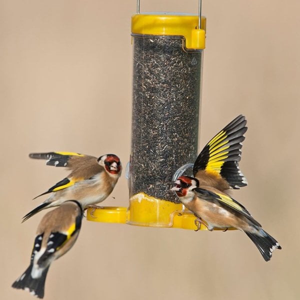 GET SET GO (NIJER SEED FEEDER)