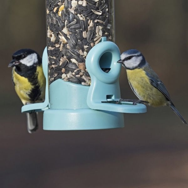 FLO AQUA (SEED FEEDER) - SMALL