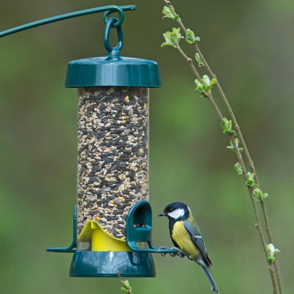 BIG EASY (SEED FEEDER) - SMALL