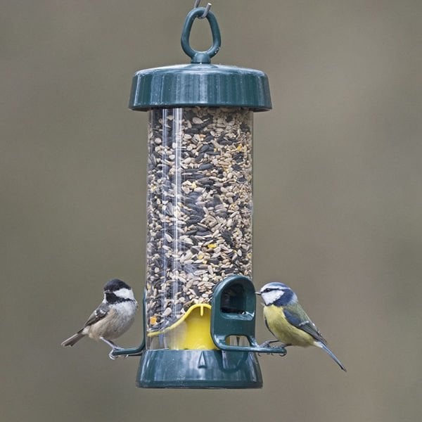 BIG EASY (SEED FEEDER) - SMALL