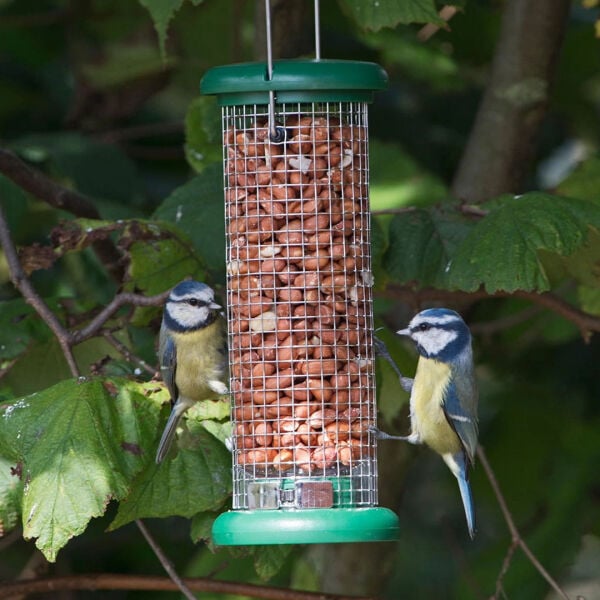 RING PULL (PEANUT) FEEDER - SMALL