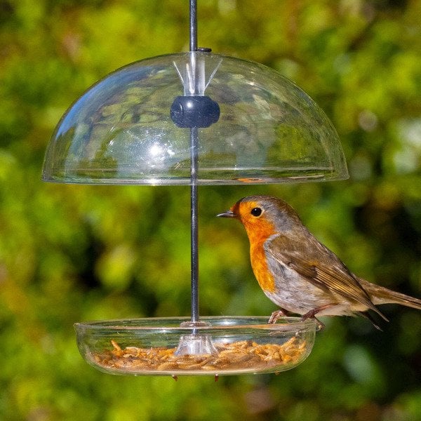 I LOVE ROBINS PEARL FEEDER