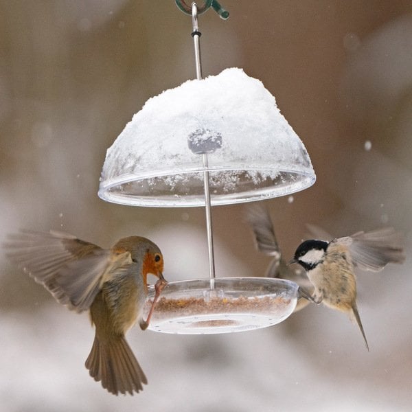 I LOVE ROBINS PEARL FEEDER