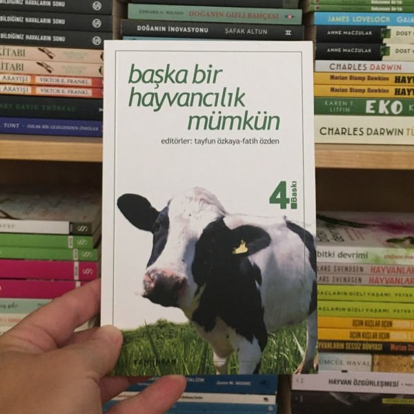 TAYFUN ÖZKAYA