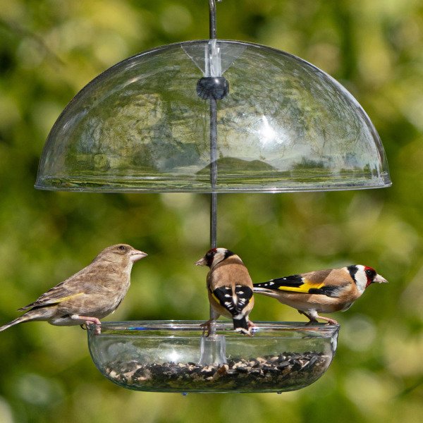 I LOVE ROBINS FEEDER