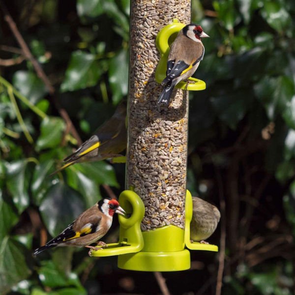 FLO LIME (SEED FEEDER) - LARGE