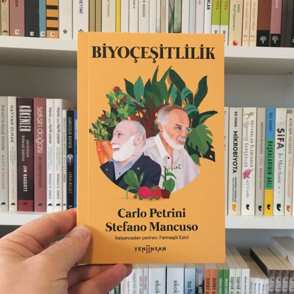 C. PETRİNİ VE S. MANCUSO